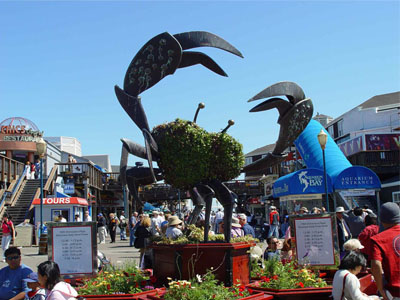 Fisherman's Wharf